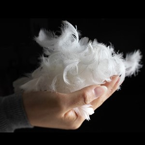 554f01e8-89c5-47b8-920e-e2678c31df13CR00300300PT0SX300V1 554f01e8-89c5-47b8-920e-e2678c31df13CR00300300PT0SX300V1