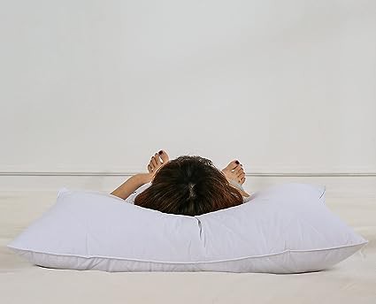 Goose Feather Bed Pillows Goose Feather Bed Pillows