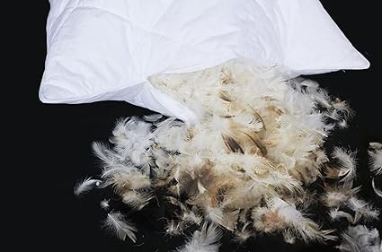 Goose Feather Bed Pillows Goose Feather Bed Pillows